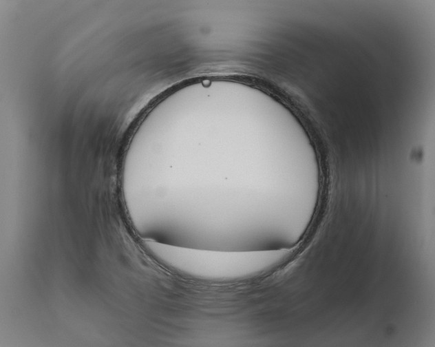 X0000111141457200907211127