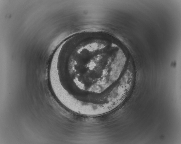 X0000111141459200907211127