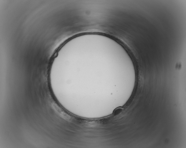 X0000111141460200907211127