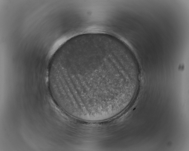 X0000111141461200907211127