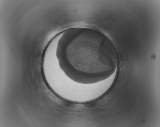 X0000111141463200907211127