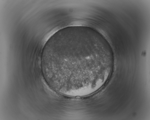 X0000111141465200907211127