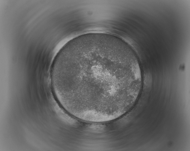 X0000111141466200907211127