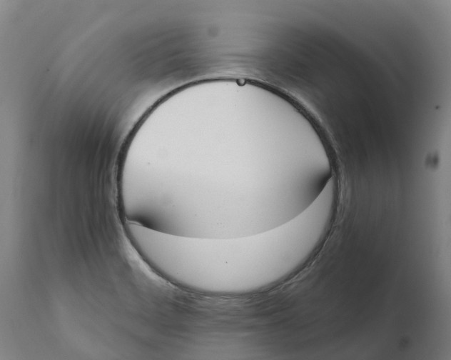 X0000111141468200907211127