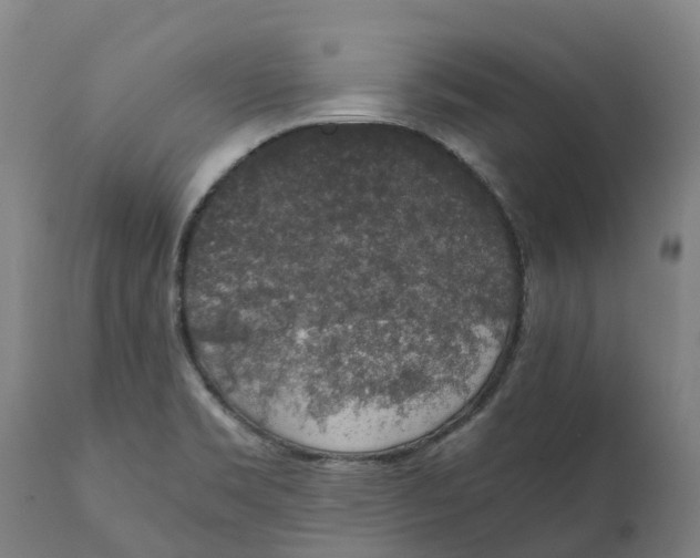 X0000111141469200907211127