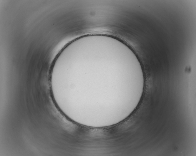 X0000111141470200907211127