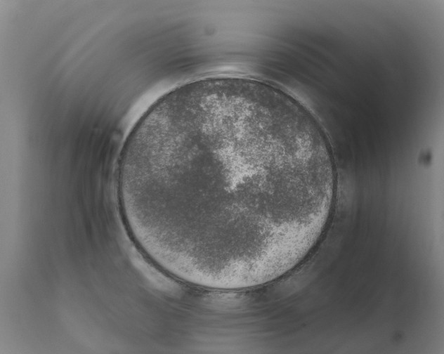 X0000111141474200907211127