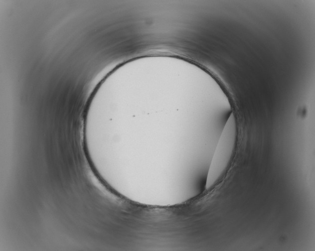 X0000111141476200907211127