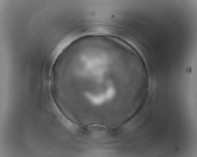 X0000111141477200907211127