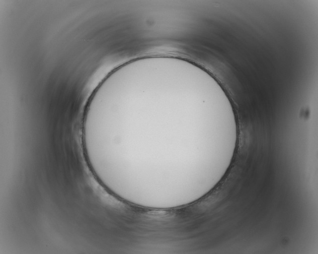 X0000111141478200907211127