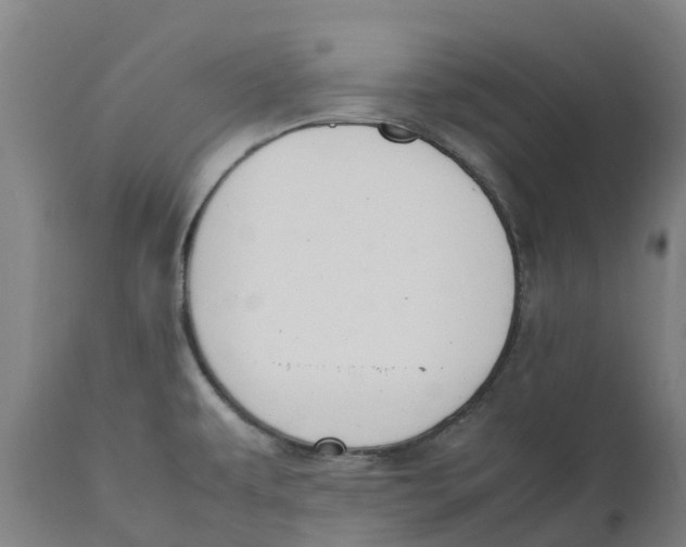 X0000111141479200907211127