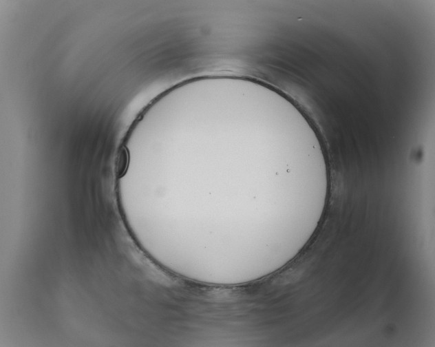 X0000111141480200907211127