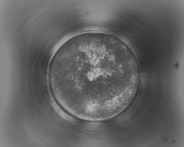 X0000111141482200907211127