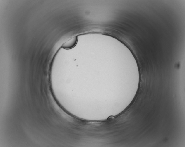 X0000111141483200907211127