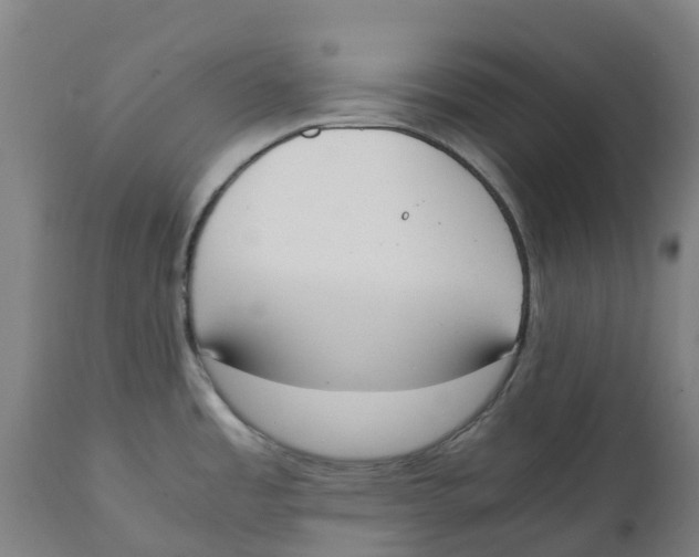 X0000111141485200907211127