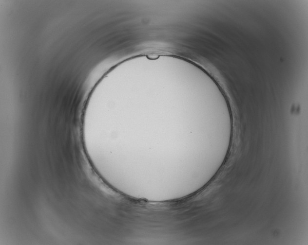 X0000111141488200907211127