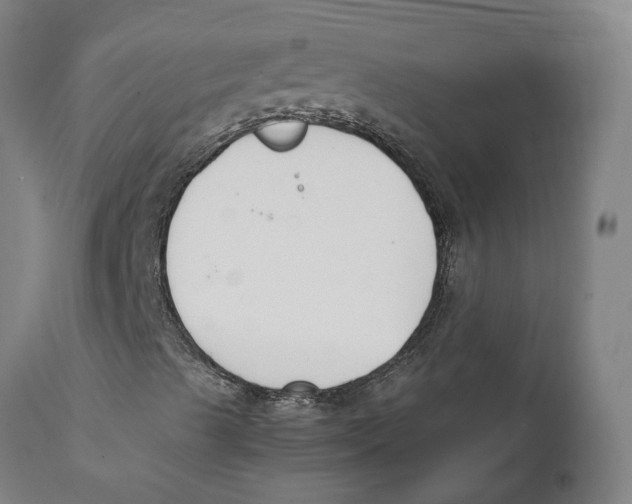 X0000111141489200907211126