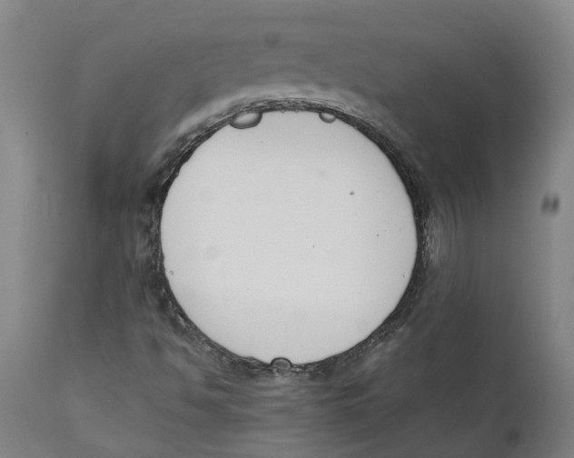 X0000111141494200907211126