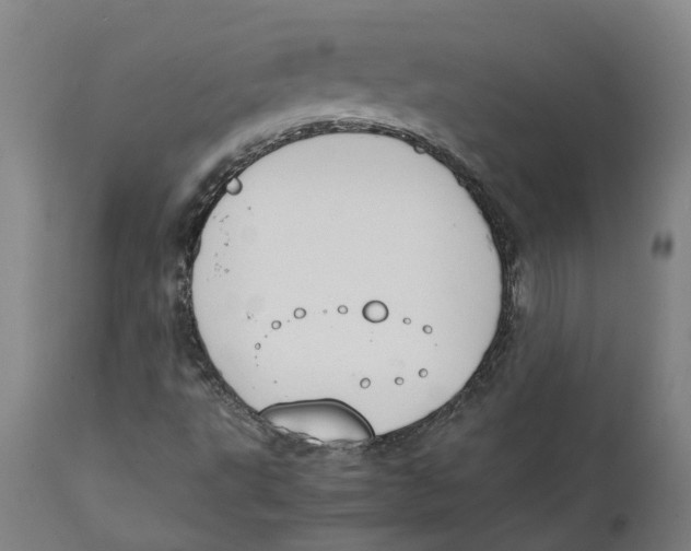 X0000111141495200907211126