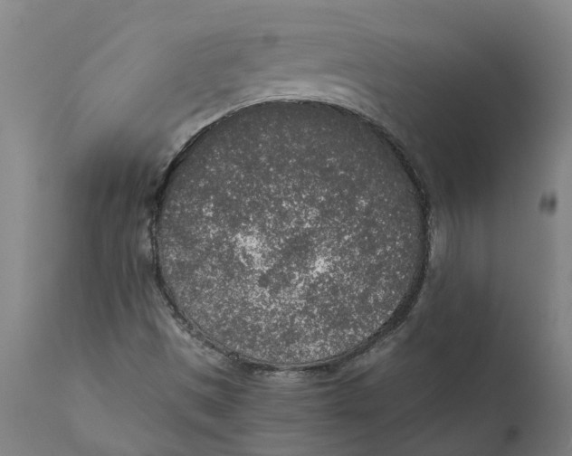 X0000111141497200907211126