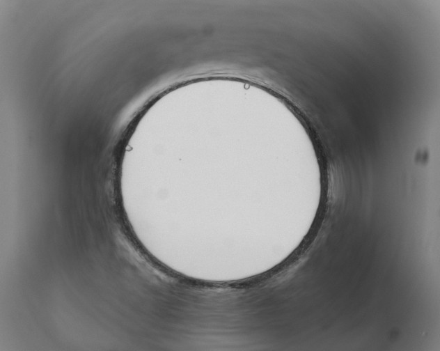 X0000111141502200907211126