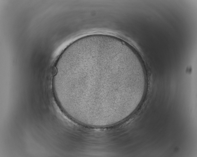 X0000111141504200907211126