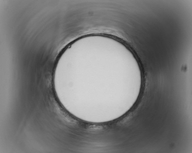 X0000111141505200907211126