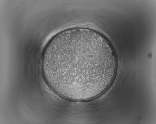 X0000111141506200907211126