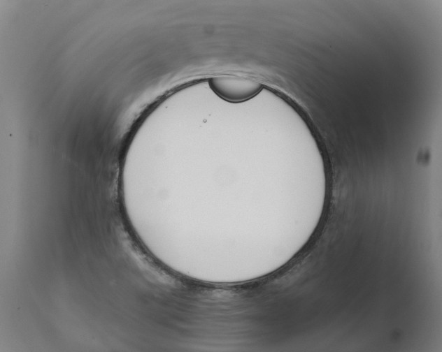 X0000111141507200907211126