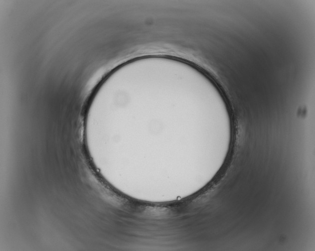 X0000111141509200907211126