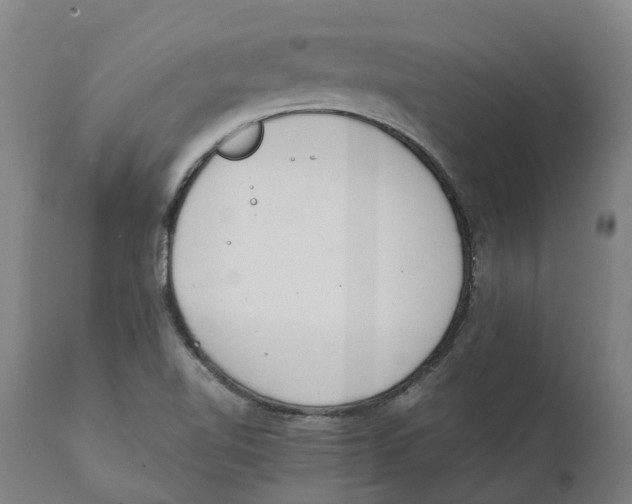 X0000111141510200907211126