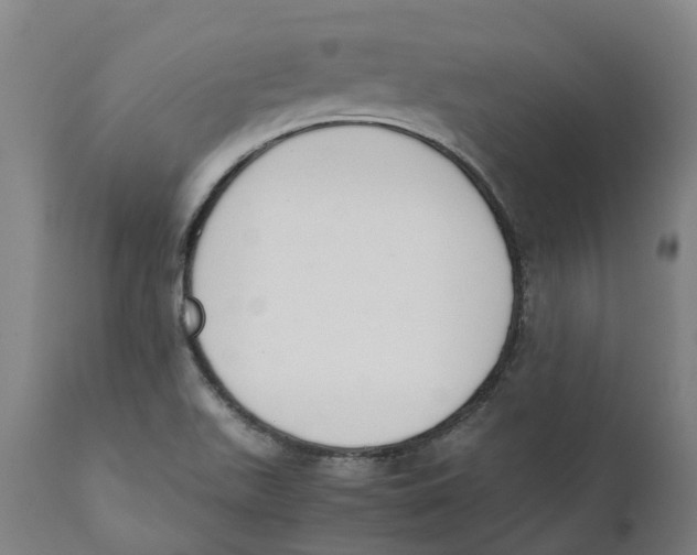 X0000111141511200907211126