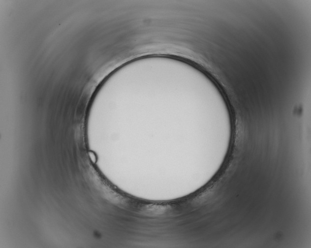 X0000111141513200907211126