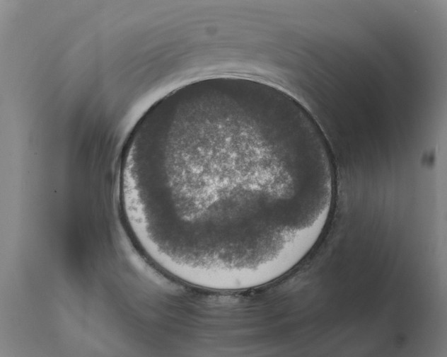 X0000111141515200907211126