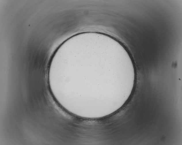 X0000111141517200907211126