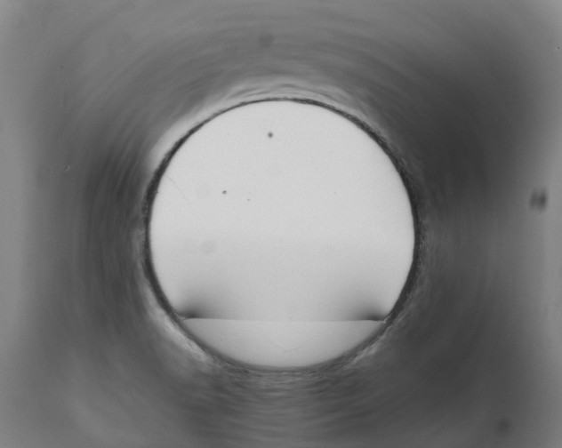 X0000111141518200907211126