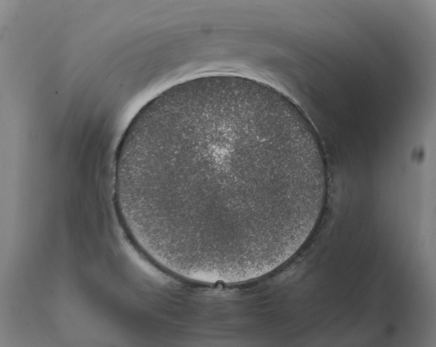 X0000111141519200907211126