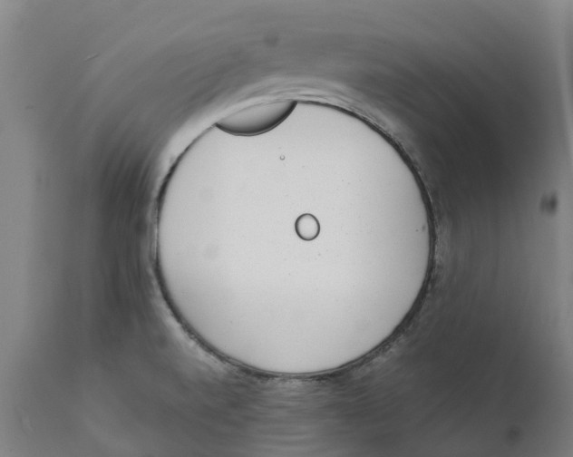 X0000111141520200907211126