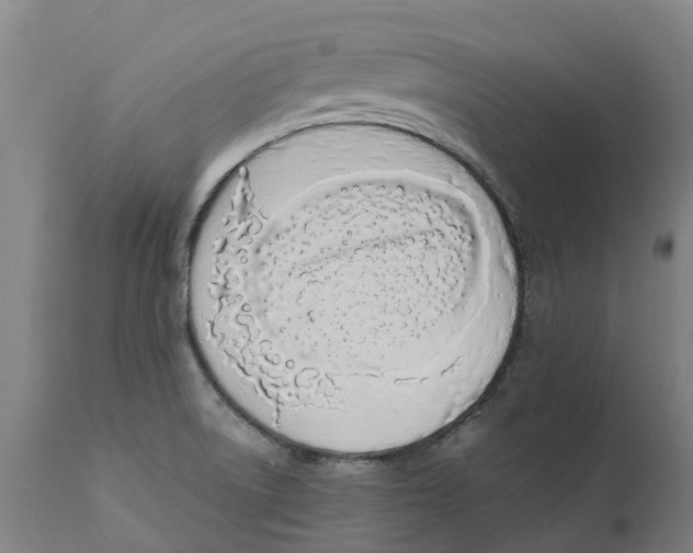 X0000111141522200907211126