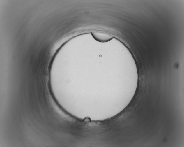 X0000111141523200907211126