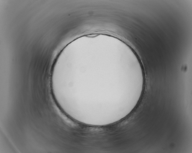 X0000111141525200907211126