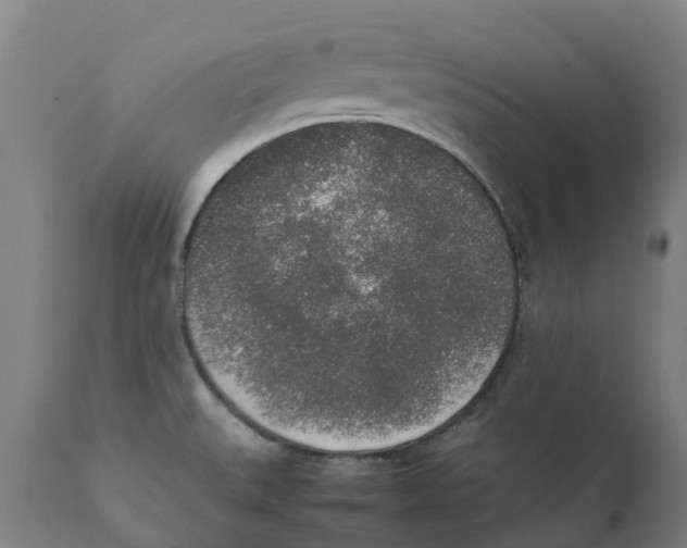 X0000111141527200907211126