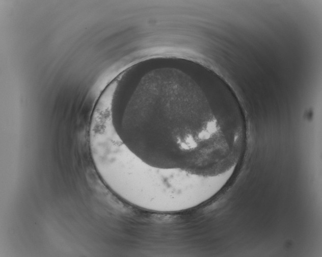 X0000111141529200907211126