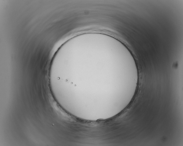 X0000111141530200907211126