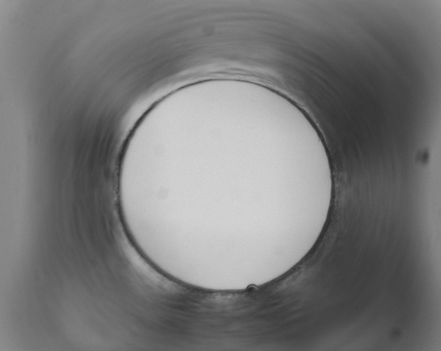 X0000111141531200907211126