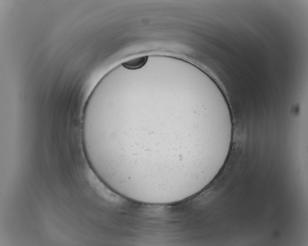 X0000111141532200907211126