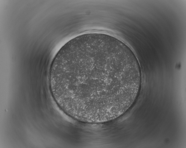 X0000111141533200907211126