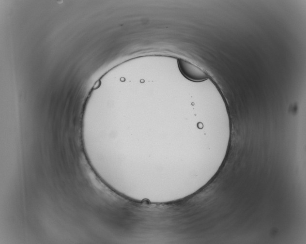 X0000111141534200907211126