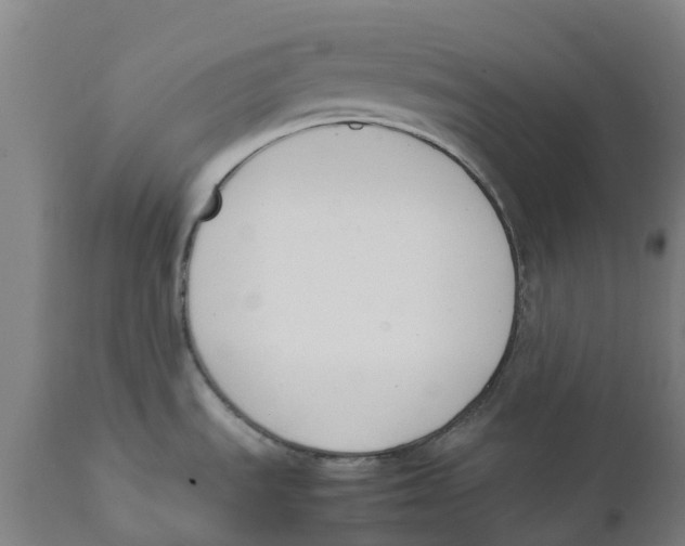 X0000111141535200907211127