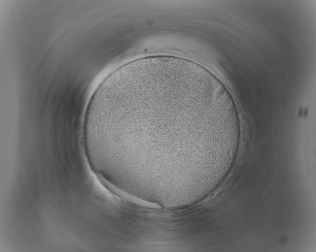 X0000111141536200907211127